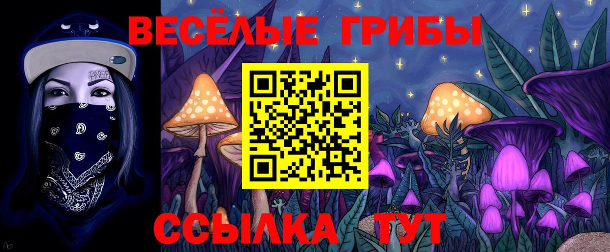 Галлюциногенные грибы Cubensis Баксан